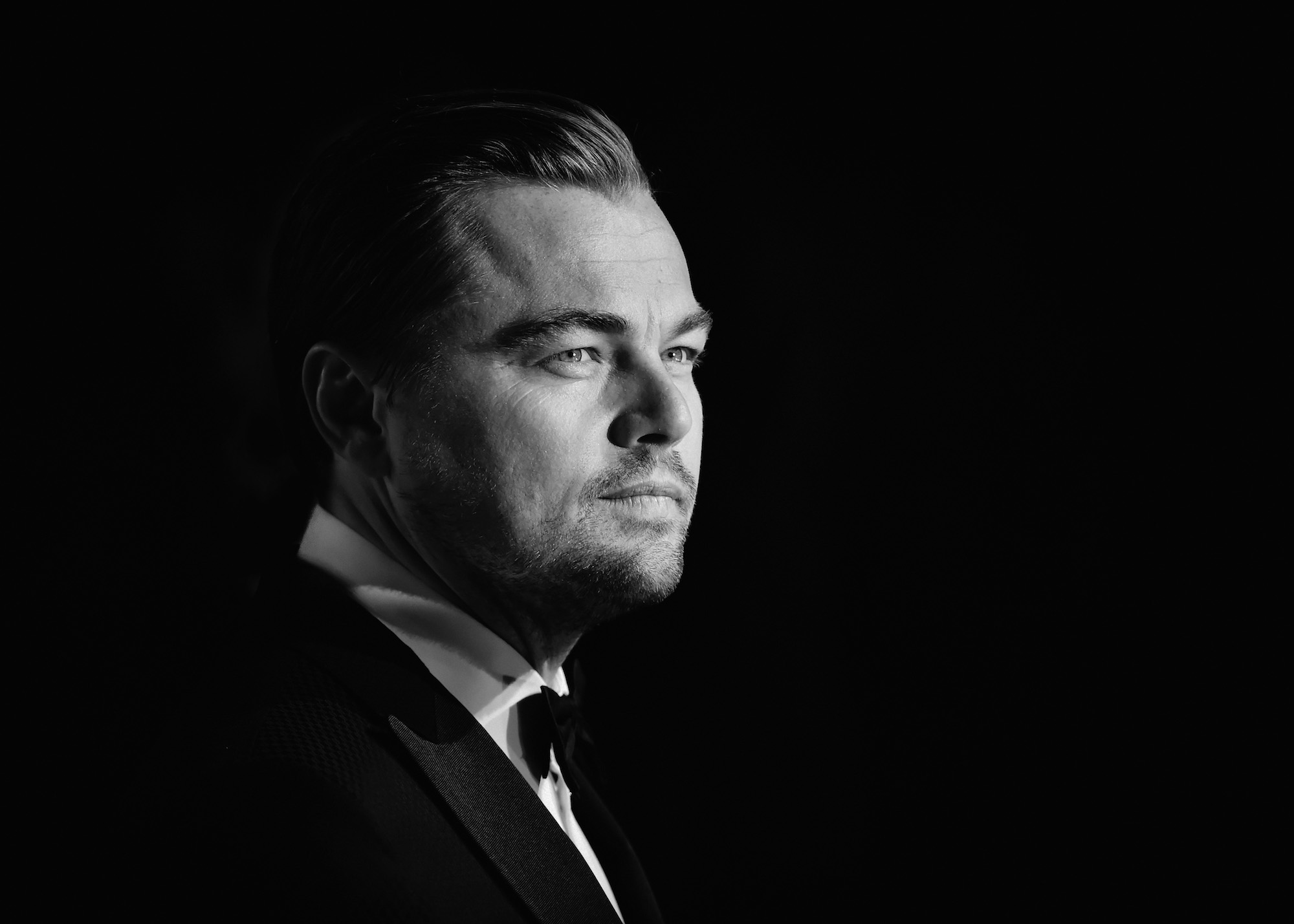 Portrait Leonardo DiCaprio L h ritier ScreenTune