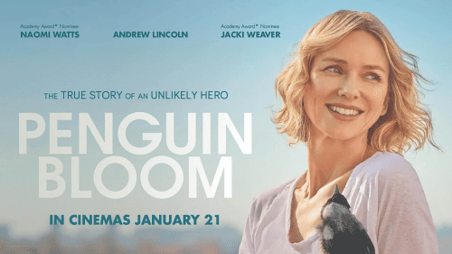 Critique « Penguin Bloom, l’oiseau guérisseur » (2020) : Une vie suspendue à un battement d’aile !  - ScreenTune