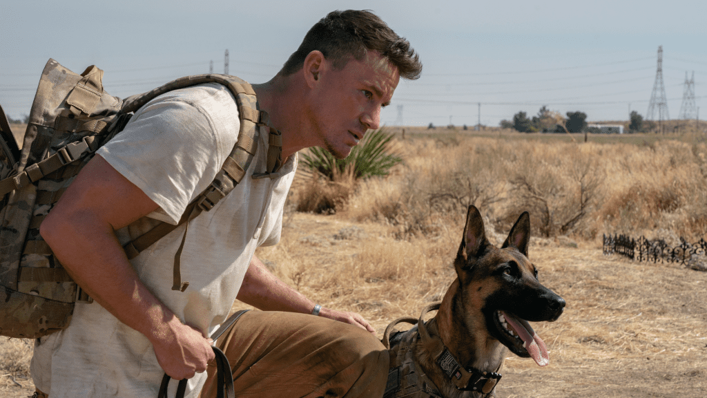 Critique « Dog » (2022) : Le retour du meilleur ami de l’homme - ScreenTune