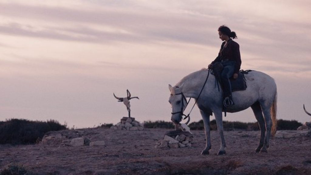 Critique « ANIMALE » (2024) : Un western fantastique camarguais - ScreenTune