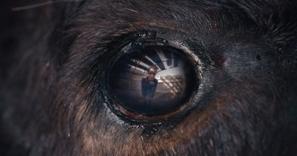 Critique « ANIMALE » (2024) : Un western fantastique camarguais - ScreenTune