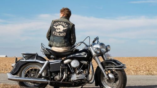 Critique « The Bikeriders » (2024) : Peur de personne en Harley Davidson ! - ScreenTune